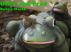 Gilly and Fred by Solstice Publishing 