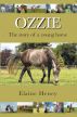 Ozzie: The Story of a Young Horse by Elaine Heney