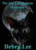 The Fay Cunningham Mysteries by Debra Lee