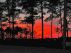 Under an Emotive Sky by kathleen hoctor-bieler