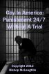 Gay In America: Punishment 24/7 Without A Trial by Clint McLaughlin