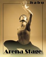 Cover for 'Arena Stage'