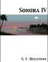 Sonora IV by George Hellstern