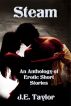 Steam: An Anthology of Erotic Short Stories by J.E. Taylor