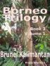 Borneo Trilogy Brunei: Book 3 Volume 1 by bangkokbooks