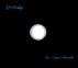 If Only by Lisa Schuch