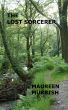 The Lost Sorcerer by Maureen Murrish