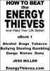 How to Beat the Energy Thieves and Make Your Life Better - eBook1 by Jess Miller