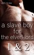 A Slave Boy For the Elven Lord 1 & 2 by Lilith Kinke