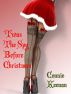 'Twas the Spy Before Christmas by Connie Keenan