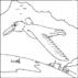 Earl the FlyingTurtle Bird by J. Silas Scott