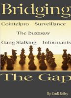 Cover for 'Bridging The Gap'