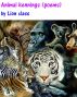 Animal kennings (poems) by Mr Adams