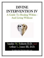 Cover for 'Divine Intervention IV: A Guide To Healing Within And Living Without'