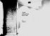 The Grand Hotel by Marvin Miller