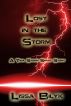 Lost In The Storm (Storm Front 4) by Lissa Bilyk