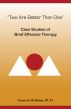 Two Are Better Than One: Case Studies of Brief Effective Therapy by Seymour Hoffman