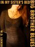 Big Brother Blues: In My Sister's Bed by W.D. Lekker