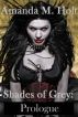 Shades of Grey: Prologue (Book One in the Shades of Grey Series) by Amanda M. Holt