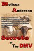 Secrets of The DMV by Melissa Anderson
