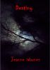 Destiny by Jeanne  Warnes