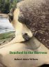 Beached In the Barrens by Robert Adair Wilson
