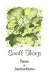 Small Things by Jonathan Barnes