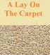 A Lay On The Carpet by Monica P