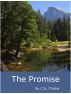 The Promise by C. S.  Chollie