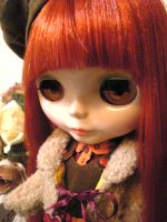 Cover for 'How to custom blythe excellent type'