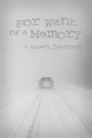 Cover for 'For Want of a Memory'