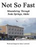 Not So Fast: Meandering Through Soda Springs, Idaho by Sunny Lockwood