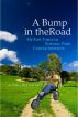 A Bump in the Road - My Ride Through Roswell Park Cancer Institute by Arthur Paul Reynolds