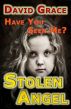 Stolen Angel by David Grace