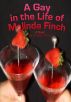A Gay in the Life of Melinda Finch by Siobhan Minty