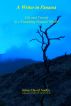 A Writer in Panama by James David Audlin
