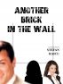 Another Brick in the Wall by Stefan Raicu