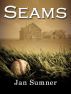 Seams by Jan  Sumner