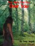 Over night over day over you by Tony Angelo