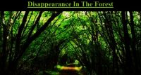Cover for 'Disappearance In The Forest'