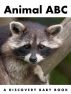 Animal ABC: A Discovery Baby Book by Andrea Arnold
