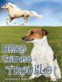 Here Comes Trouble by Marilyn D. Anderson