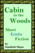 Cabin in the Woods by Stanfield Major