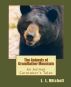 The Animals of Grandfather Mountain: An Animal Caretaker's Tales by L. L. Mitchell