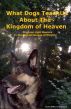 What Dogs Teach Us About The Kingdom Of Heaven by Sandra Wolfe