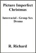 Picture Imperfect Christmas by R. Richard