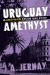 The Uruguay Amethyst (An Ainsley Walker Gemstone Travel Mystery) by J.A. Jernay