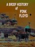 A Brief History Of Pink Floyd by Andrew Means