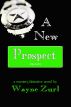A New Prospect by Wayne  Zurl
