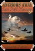 Basic Flight Maneuvers by Shara Azod